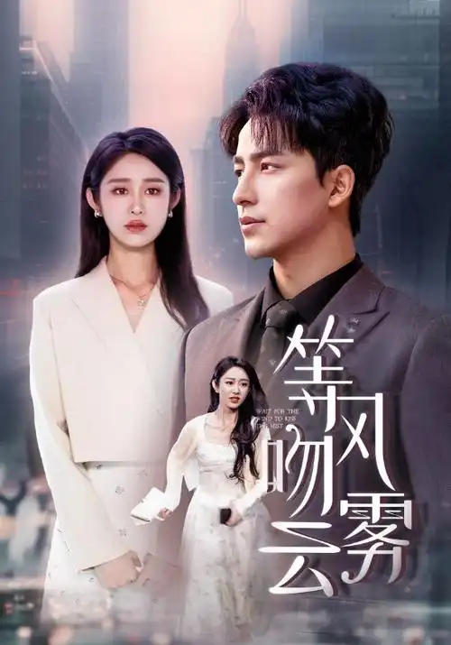 热播电视剧雾港迷局海报